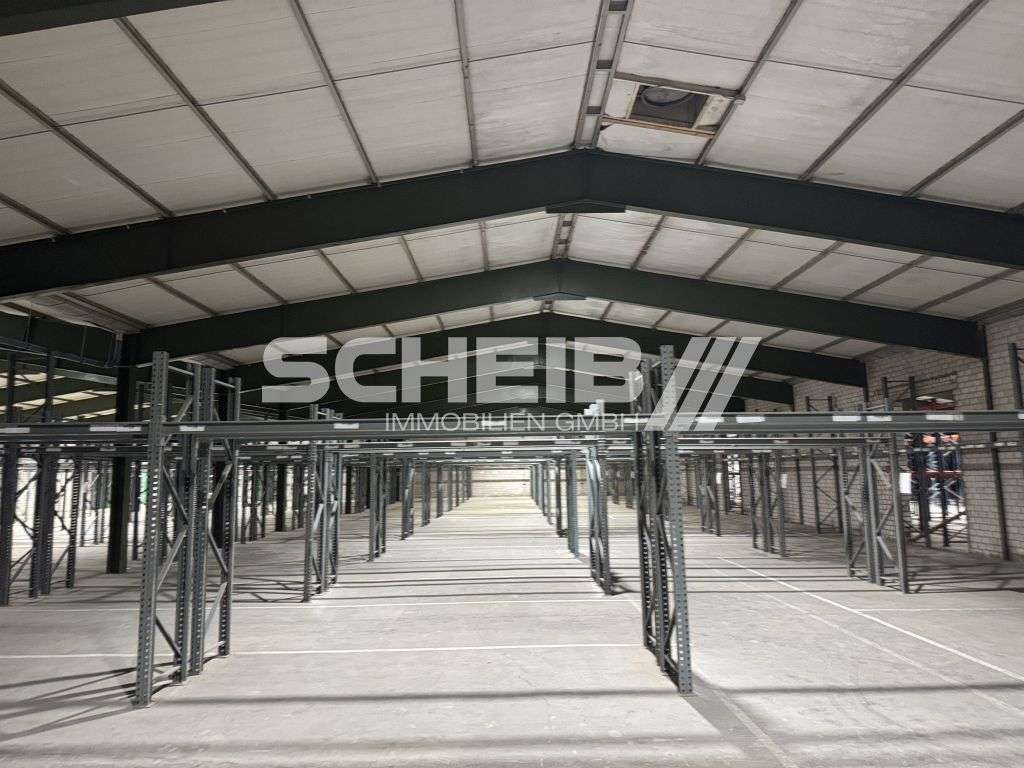 ~5500 m2 Lagerhalle mit etlichen Rampen, asphaltierter Hof