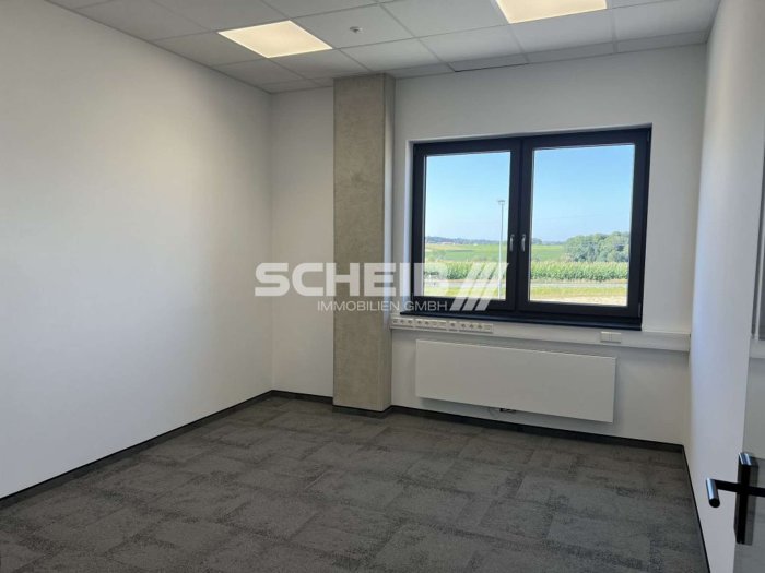 Unsere Immobilie des Monats: